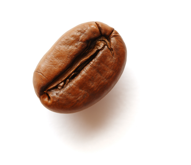 Coffee bean
